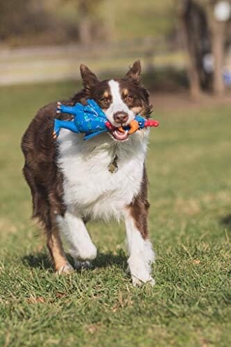 11.5-Inch Latex Polka Dot Globken Chicken Dog Toy