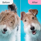 2 in 1 Deshedding Tool and Undercoat Rake for Long and Short Haired Dogs with Double Coat