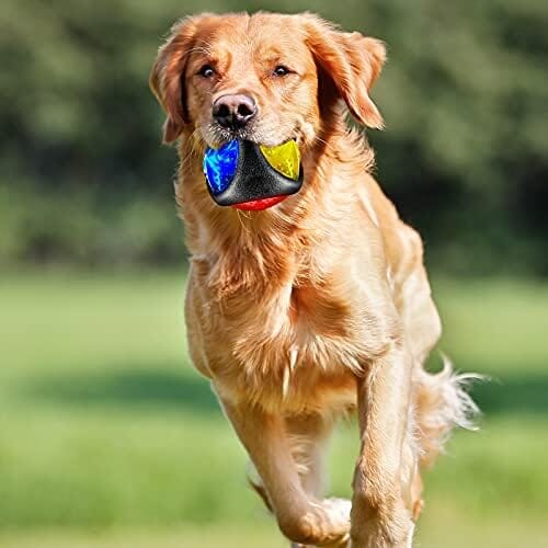4 Pieces Light up Dog Ball Spiny Light up Dog Ball