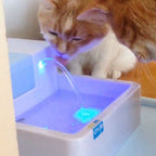 5PCs Filters For Pet Clever Drinking Fountain Cat Bowls & Fountains Pet Clever 