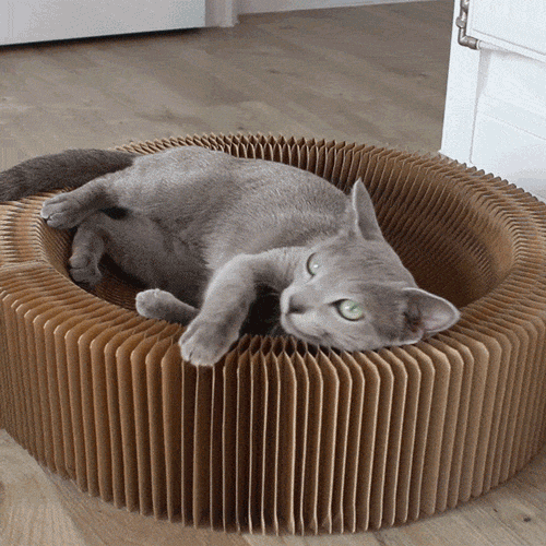 A Scratcher and A Lounge For Your Lovely Cat Cat Beds & Baskets Pet Clever 