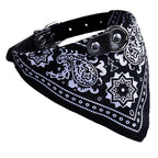 Adjustable Pet Collar Bandana - 5 Colors Cat Care & Grooming Pet Clever Black S 