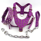 Black Spiked Studded Leather Dog Harness Collar & Leash Set Black Spiked Studded Leather Dog Harness Collar & Leash Set Pet Clever 