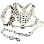Black Spiked Studded Leather Dog Harness Collar & Leash Set Black Spiked Studded Leather Dog Harness Collar & Leash Set Pet Clever 