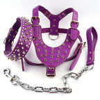 Black Spiked Studded Leather Dog Harness Collar & Leash Set Black Spiked Studded Leather Dog Harness Collar & Leash Set Pet Clever Purple M 