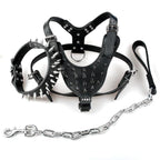 Black Spiked Studded Leather Dog Harness Collar & Leash Set Black Spiked Studded Leather Dog Harness Collar & Leash Set Pet Clever 