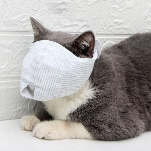 Breathable Cat Mouth Guard Anti Bite Anti Meow Cat Grooming Muzzle
