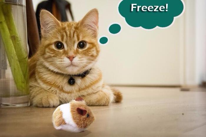 Cute Fat Mouse Cat Chasing Vibration Playing Toy Cat Toys Pet Clever 