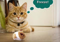 Cute Fat Mouse Cat Chasing Vibration Playing Toy Cat Toys Pet Clever Brown 