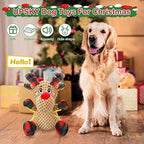 Dog Squeaky Toy with Crinkle Paper