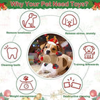 Dog Squeaky Toy with Crinkle Paper