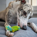 Dog Toys for Aggressive Chewers Dog Toys for Large Dogs