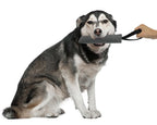 Dog Training Bite Tug Pillow Sleeve Dog Toys Sport & Training Pet Clever 