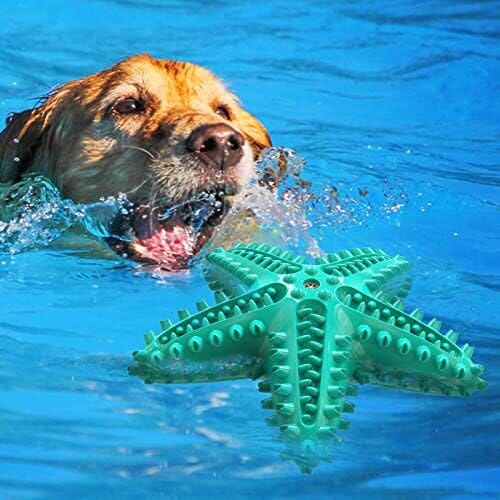 Durable Starfish Cleaning Toothbrush Toy