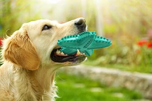Durable Starfish Cleaning Toothbrush Toy