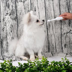 Electric Pet Toothbrush with Additional Brush Heads Toothbrush Pet Clever 