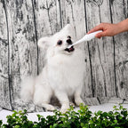 Electric Pet Toothbrush with Additional Brush Heads Toothbrush Pet Clever 