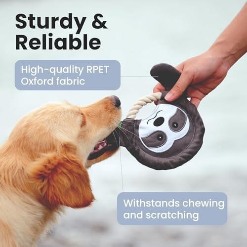 Fox Flying Disc Dog Toys Tug-of-War Toy