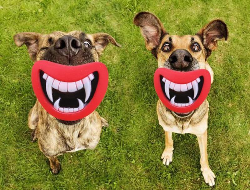 Funny Devil's Mouth Squeaky Toy Toys Pet Clever 