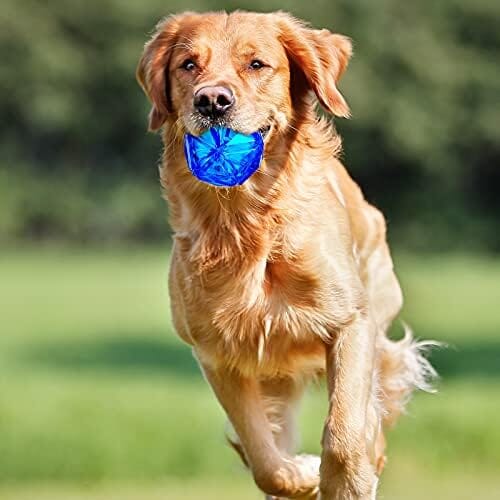 Glow in The Dark Dog Toys Soccer Ball with Straps