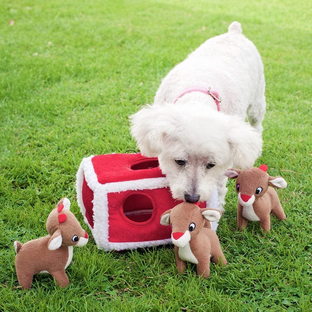 Hide and Seek Dog Toys and Puppy Toys