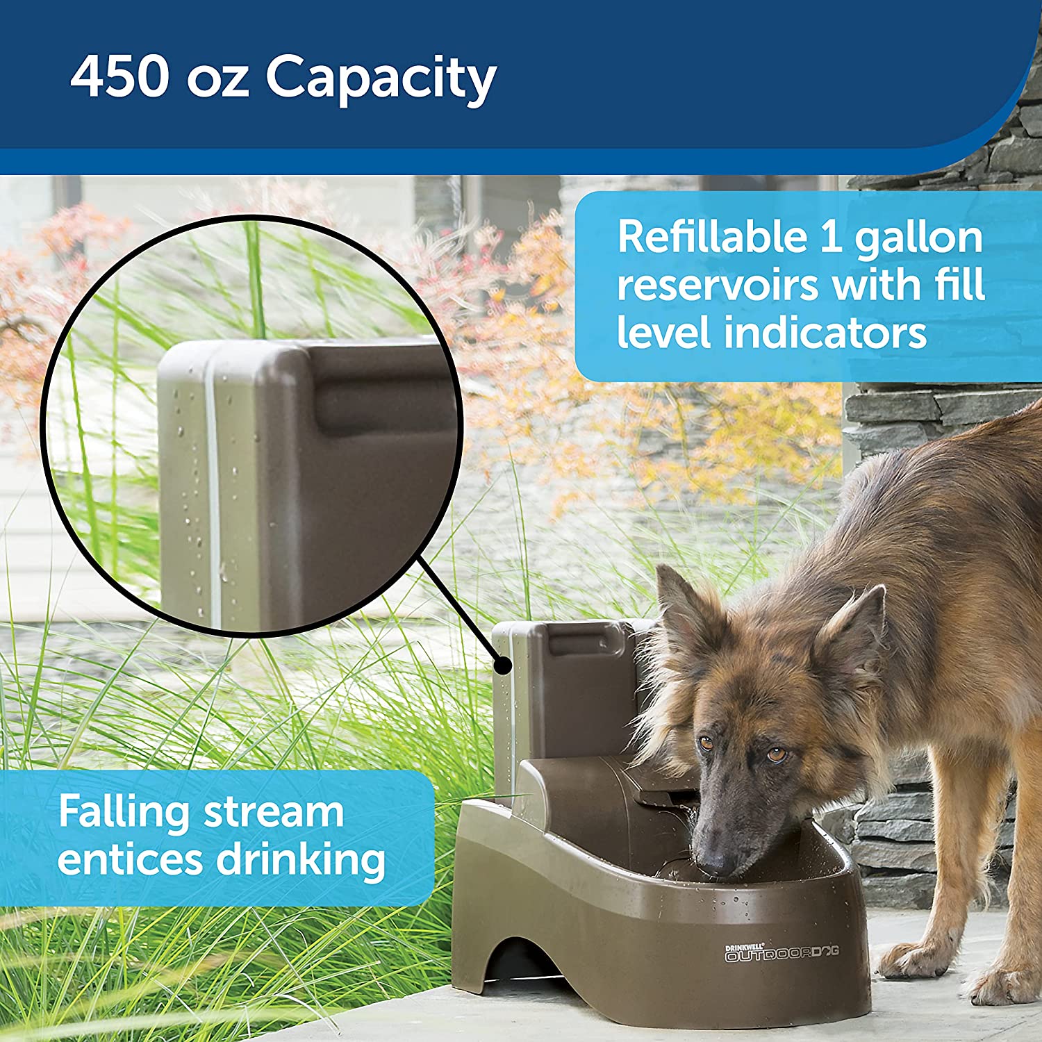 Indoor Outdoor Dog Fountain