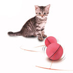 Interactive Cat Laser Electric LED Flash Light Rolling Toy Cat Toys Pet Clever 