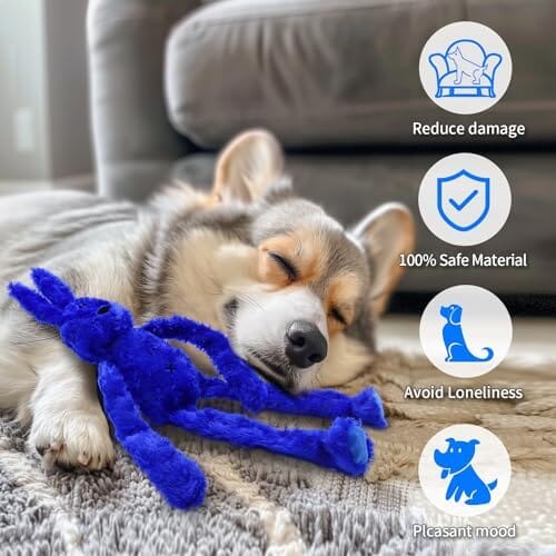 Interactive Dog Toy with Crinkle and Squeaky