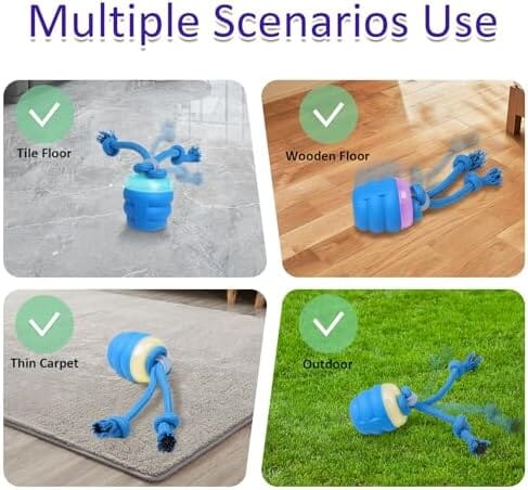 Interactive Dog Toys with Motion Activated