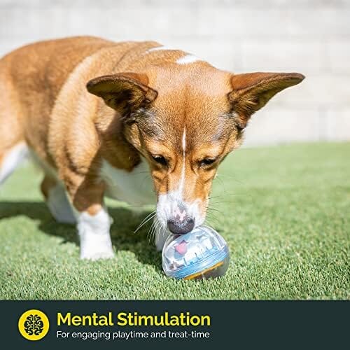 IQ Treat Ball Interactive Dog Ball
