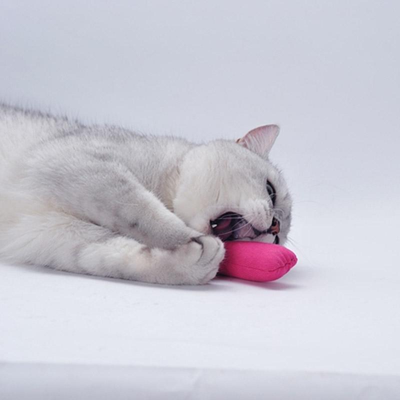 Lovely Animal Shaped Plush Catnip Toy Cat Toys Pet Clever 