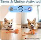 Motion Activated Dog Ball Automatic Rolling Ball Toys for Puppy