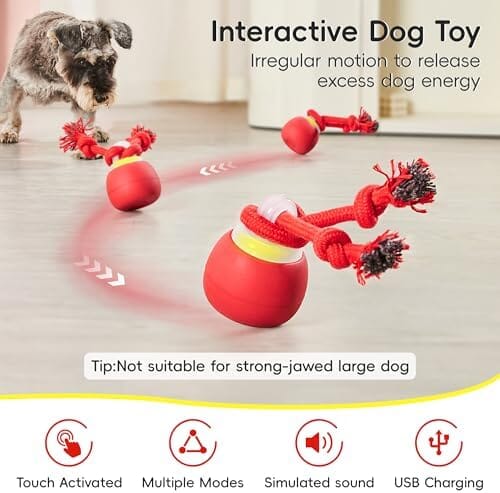 Moving Wicked Ball for Pup with Rope