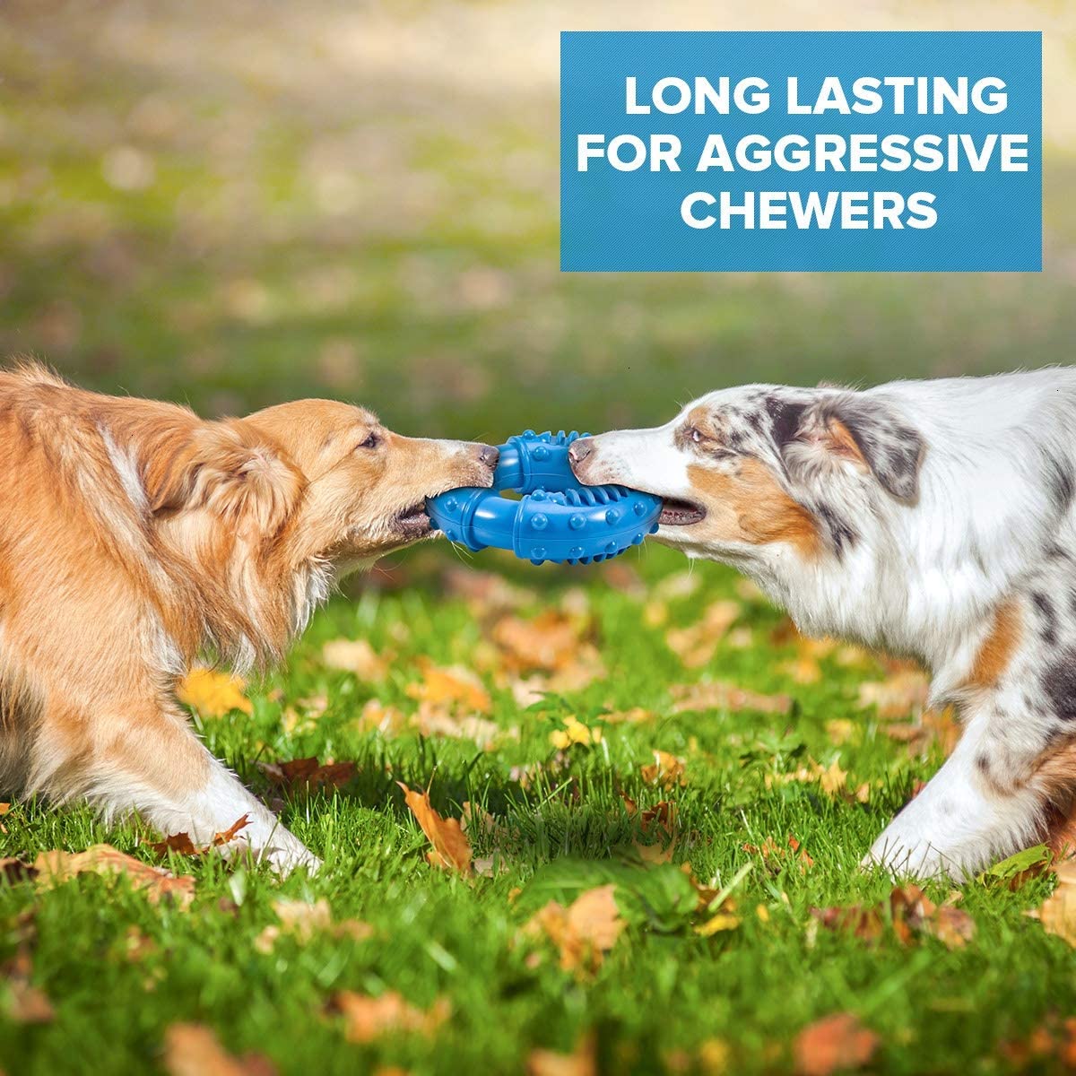 Non-Toxic Natural Rubber Indestructible Dog Toys