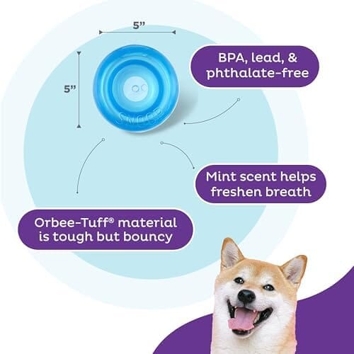 Outward Hound Snoop Interactive Treat Dispensing Dog Toy