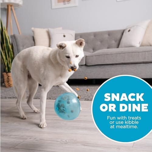 Outward Hound Snoop Interactive Treat Dispensing Dog Toy