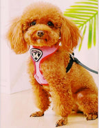 Pet Clever Adventure Harness Leash - US Stock - Prime Shipping Pet Clever Adventure Harness Suit Leash Pet Clever 