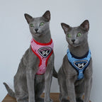 Pet Clever Adventure Harness Leash - US Stock - Prime Shipping Pet Clever Adventure Harness Suit Leash Pet Clever Blue Small 