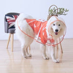 Pet Clever Adventure Raincoat Clothes Pet Clever Orange 3XL 