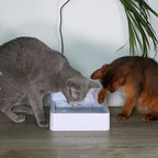 Pet Clever Drinking Fountain For Freshest Water! Cat Bowls & Fountains Pet Clever Full Pack Water Dispenser 