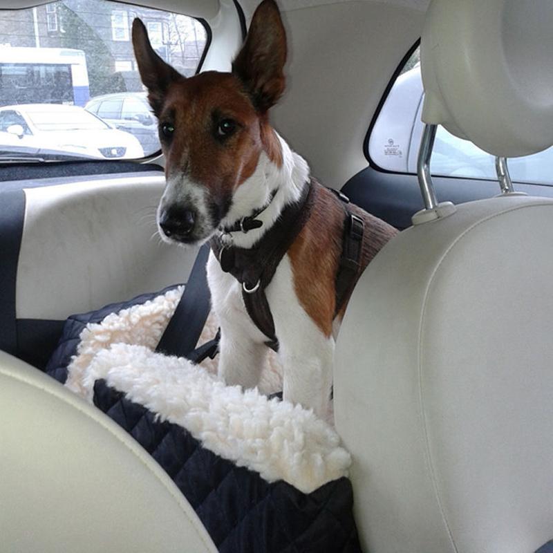 Pet Clever's Portable Pets Car Carrier Basket Carrier Pet Clever 