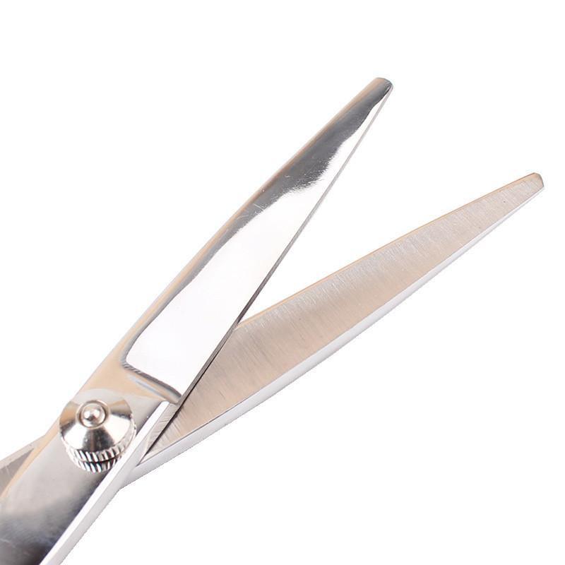 Professional Pet Grooming Scissors Set Cat Care & Grooming Pet Clever 