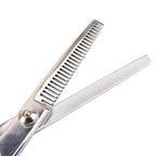 Professional Pet Grooming Scissors Set Cat Care & Grooming Pet Clever 
