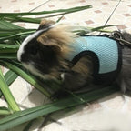 Rabbit Vest Harness With Leash Rabbits Pet Clever 