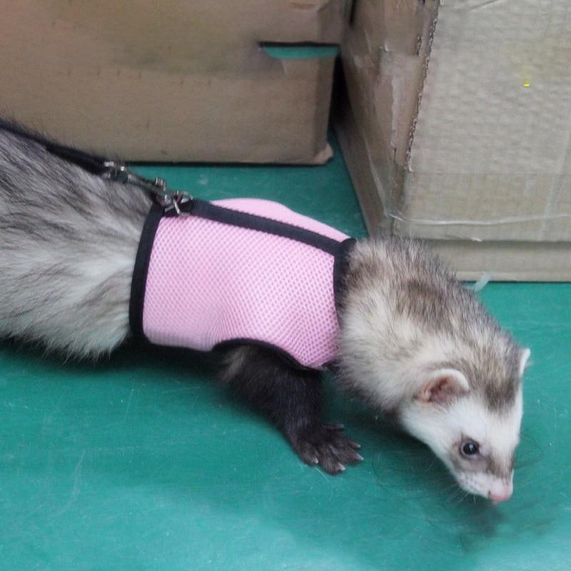 Rabbit Vest Harness With Leash Rabbits Pet Clever 