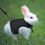 Rabbit Vest Harness With Leash Rabbits Pet Clever 