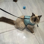 Rabbit Vest Harness With Leash Rabbits Pet Clever 