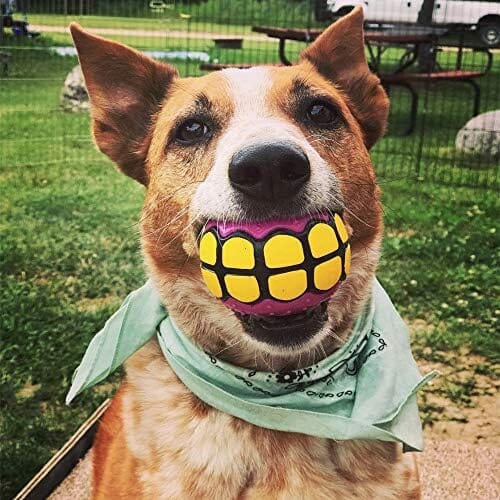 Rubber Funny Ball Gifts for Large Medium Dogs (Variety Pack)