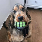 Rubber Funny Ball Gifts for Large Medium Dogs (Variety Pack)