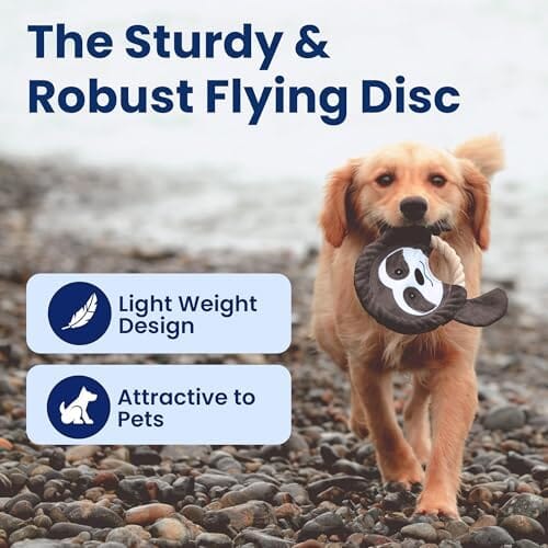 Sleepy Sloth  Indestructible Dog Toys Squeaky Dog Toys